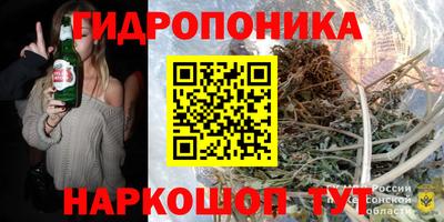 скорость Будённовск